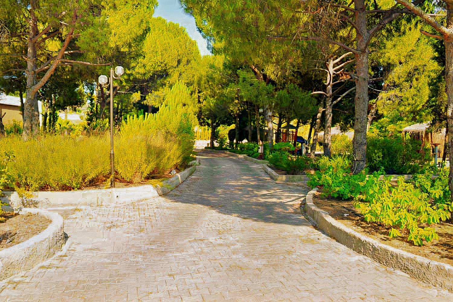 Elitium Thermal Hotel Bozkoy  Extérieur photo